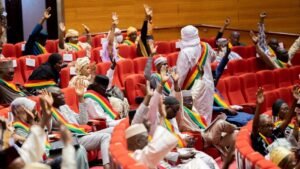 Conseil-National-Transition-CNT-Mali-1